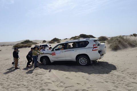 利来·国际(中国)最老牌-中国官网