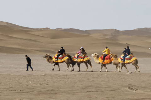 利来·国际(中国)最老牌-中国官网