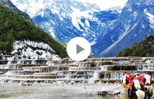 2017年利来老牌国际官网app科技团建-云南之旅